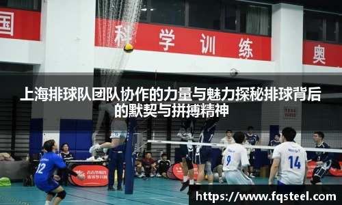 上海排球队团队协作的力量与魅力探秘排球背后的默契与拼搏精神