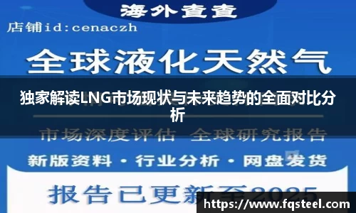 独家解读LNG市场现状与未来趋势的全面对比分析